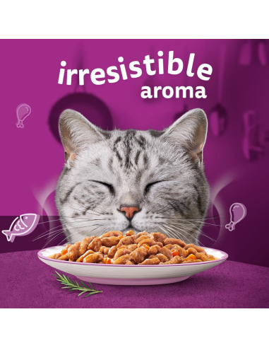 Whiskas täiskasvanud kassidele 40x85g...