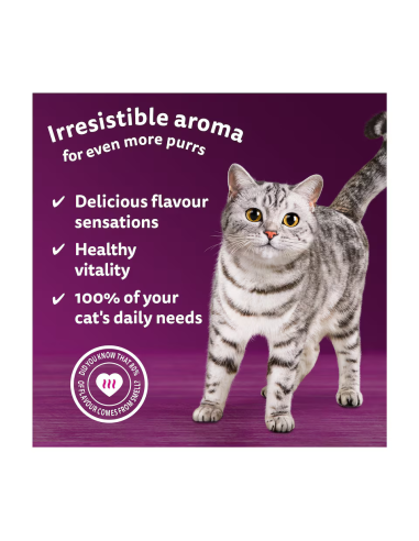 Whiskas täiskasvanud kassidele 40x85g...