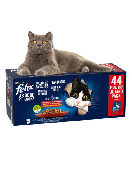 Felix Fantastic märg kassitoit (44 x 85 g) veiseliha, kana, part, lambaliha