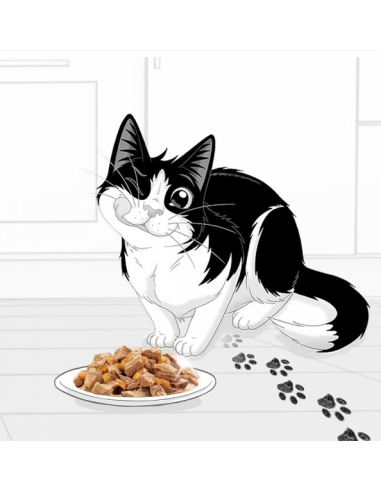 Felix Fantastic märg kassitoit (44 x 85 g)...