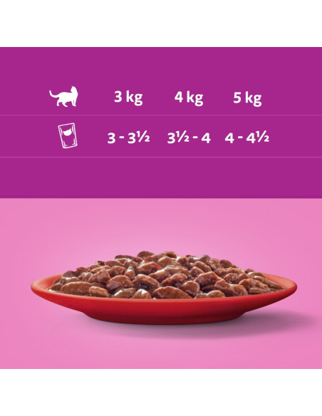 WHISKAS Classic Meals märgtoit täiskasvanud kassidele kastmes (80x85g)