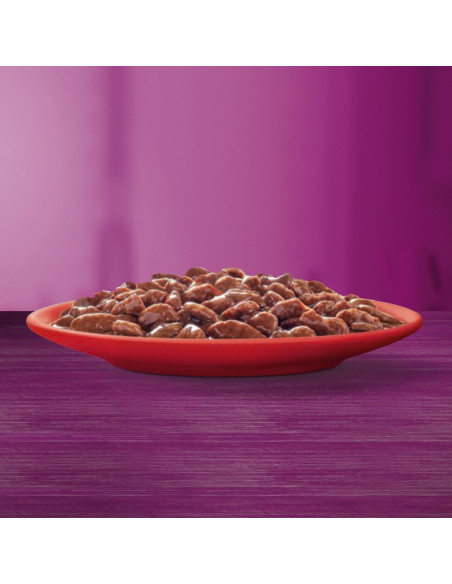 WHISKAS Classic Meals märgtoit täiskasvanud kassidele kastmes (80x85g)