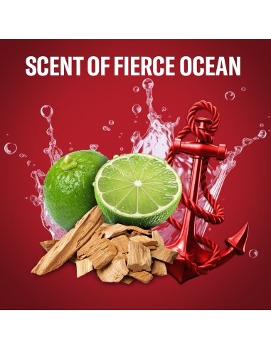 Old Spice Captain Meeste Dušigeel Ja Šampoon,...