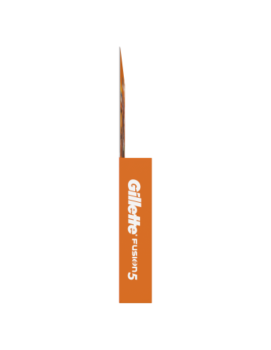 KAST 6 tk! Gillette Fusion5 Raseerija Terad...