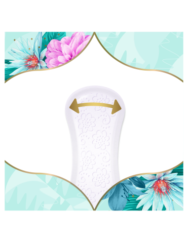 KAST 5 tk! Discreet Multiform Waterlily...