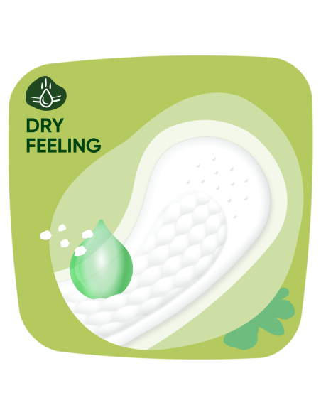 KAST 5 tk! Naturella Light Camomile Pesukaitsmed, 100 tk