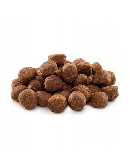 Brit Premium by Nature Adult M koeratoit, 15 kg