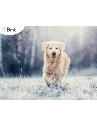 Brit Premium by Nature Adult L koeratoit, 15 kg