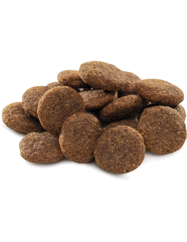 Brit Premium by Nature Adult L koeratoit, 15 kg