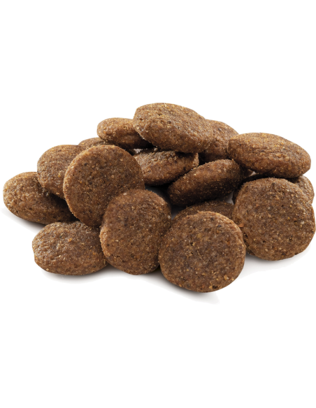 Brit Premium by Nature Adult L koeratoit, 15 kg