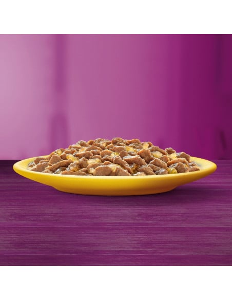 WHISKAS hõrgutised (80x85g) Linnuliha - Märgtoit Täiskasvanud Kassidele Kastmes (kana, part, linnuliha, kalkun)