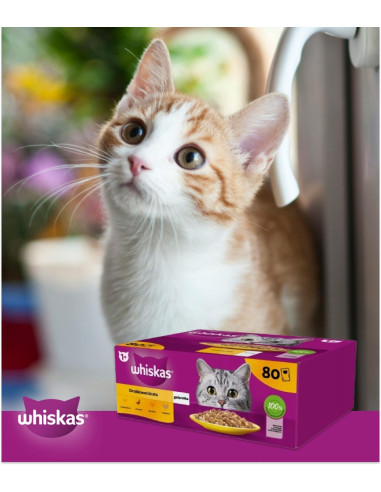 WHISKAS hõrgutised (80x85g) Linnuliha -...