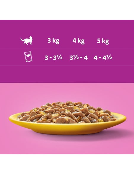 WHISKAS hõrgutised (80x85g) Linnuliha - Märgtoit Täiskasvanud Kassidele Kastmes (kana, part, linnuliha, kalkun)