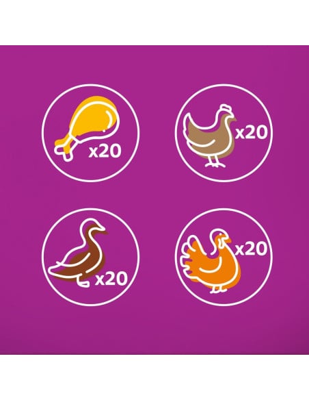 WHISKAS hõrgutised (80x85g) Linnuliha - Märgtoit Täiskasvanud Kassidele Kastmes (kana, part, linnuliha, kalkun)