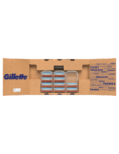 Gillette Fusion5 Power Raseerija Meestele + 10 Tera