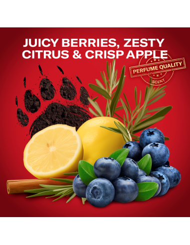 KAST 4 tk! Old Spice Bearglove Meeste Dušigeel...