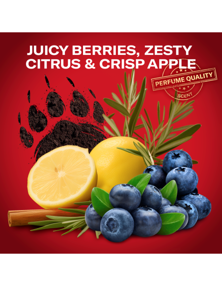 KAST 4 tk! Old Spice Bearglove Meeste Dušigeel Ja Šampoon, 1000 ml