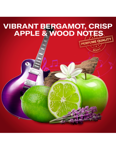 Old Spice Rockstar Meeste Dušigeel Ja Šampoon,...