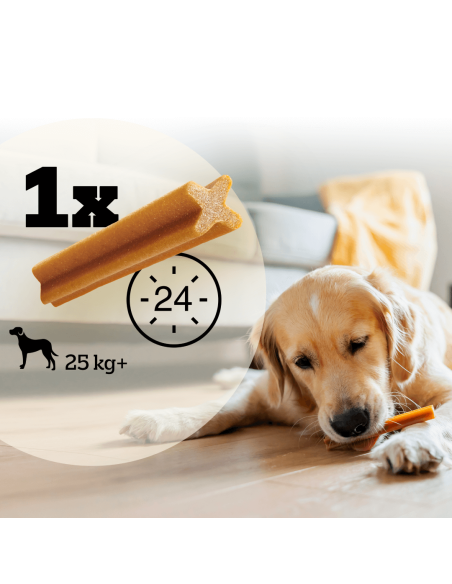 Pedigree Dentastix Large koerte maiused suurtele tõugudele, 56 tk (8x270g)
