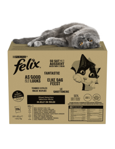 Felix Fantastic kassitoit...