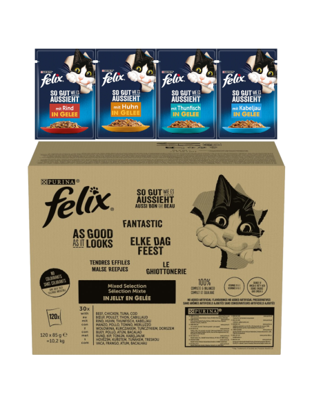 Felix Fantastic kassitoit erinevate maitsetega tarretises 10,2 kg (120x85g)