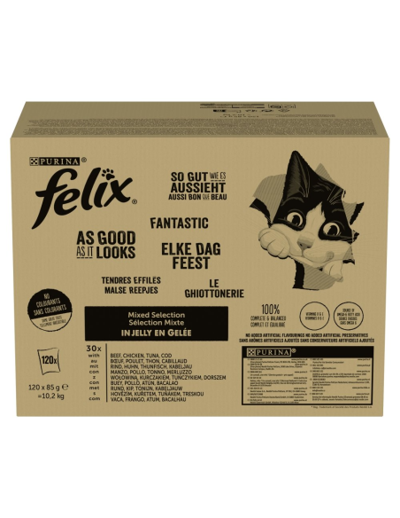 Felix Fantastic kassitoit erinevate maitsetega tarretises 10,2 kg (120x85g)
