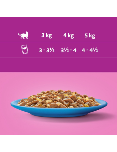 Whiskas Adult (40x85g) Kala Hõrgutised...