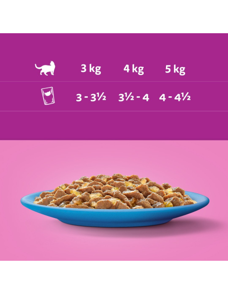 Whiskas Adult (40x85g) Kala Hõrgutised Täiskasvanud Kassidele 4 Maitset Tarretises