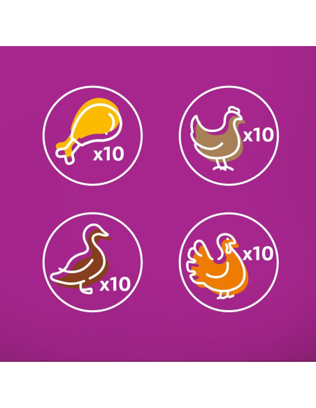 Whiskas Adult 40x85g Pure Delight märgtoit täiskasvanud kassidele, 4 maitset tarretis