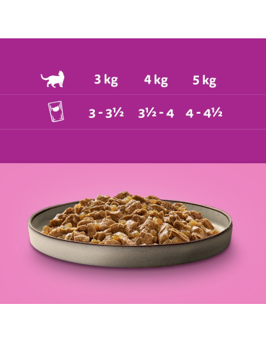 Whiskas Adult 40x85g Pure Delight märgtoit...