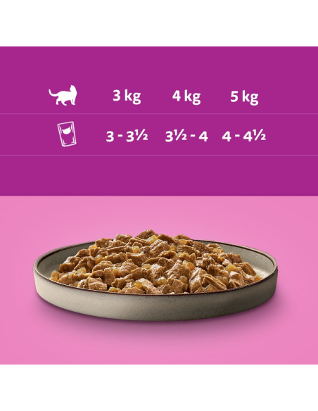 Whiskas Adult 40x85g Pure Delight märgtoit täiskasvanud kassidele, 4 maitset tarretis