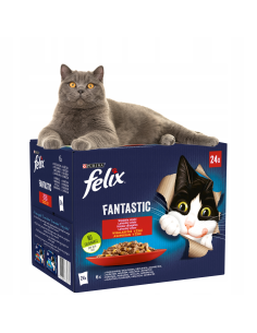 Felix Fantastic kassitoit...
