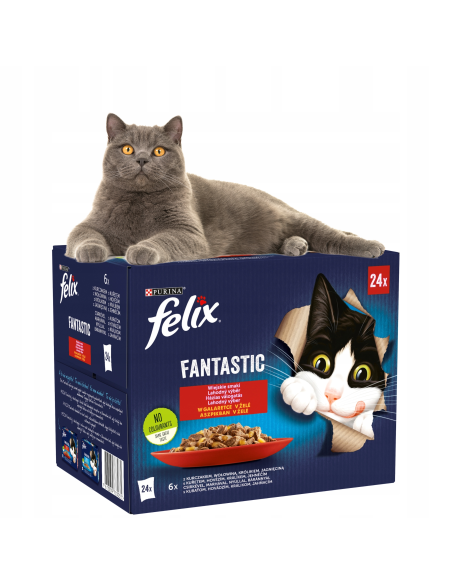 Felix Fantastic kassitoit erinevate maitsetega tarrendis (24x85g)
