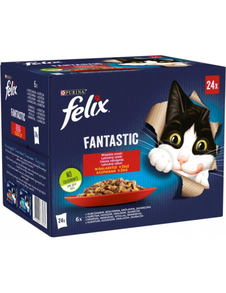 Felix Fantastic kassitoit erinevate maitsetega tarrendis (24x85g)
