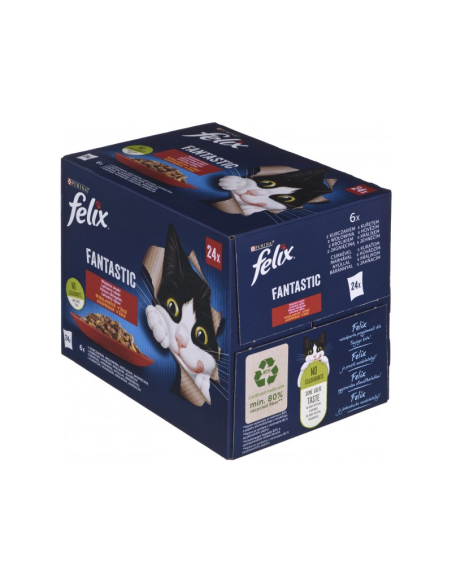 Felix Fantastic kassitoit erinevate maitsetega tarrendis (24x85g)