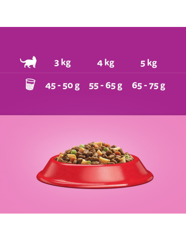 WHISKAS Adult kuivtoit kassidele veiseliha ja...