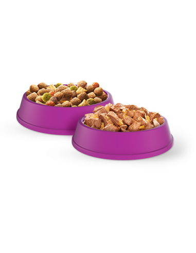 WHISKAS Kuivtoit Adult 14kg kassidele kana ja...