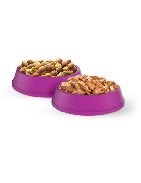 WHISKAS Kuivtoit Adult 14kg kassidele kana ja köögiviljadega