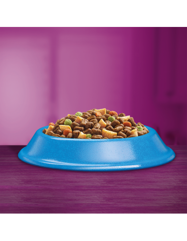 WHISKAS Adult kassi kuivtoit tuunikalaga 14 kg