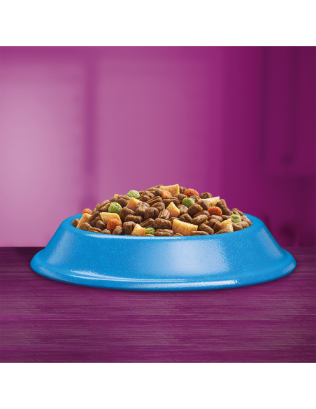 WHISKAS Adult kassi kuivtoit tuunikalaga 14 kg