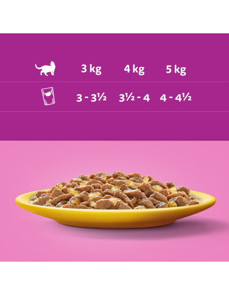 WHISKAS hõrgutised (80x85g) Linnuliha - Märgtoit Täiskasvanud Kassidele Kastmes (kana, part, linnuliha, kalkun)