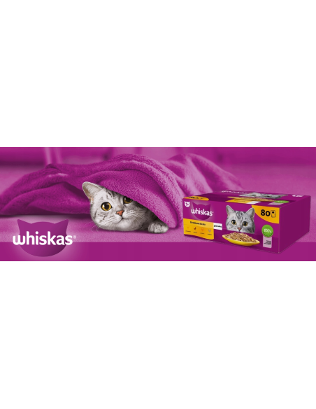 WHISKAS hõrgutised (80x85g) Linnuliha - Märgtoit Täiskasvanud Kassidele Kastmes (kana, part, linnuliha, kalkun)