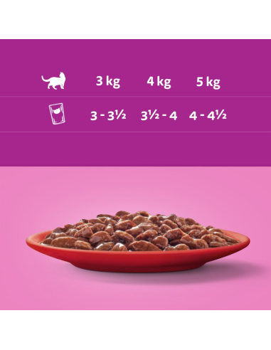 WHISKAS hõrgutised (80x85g) Classic Meals...