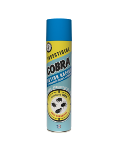 KAST 12 tk! Cobra...