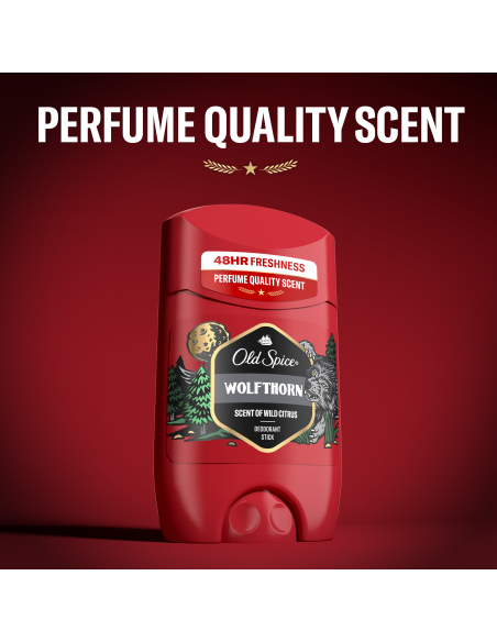 Old Spice Whitewater meeste pulkdeodorant 2x50 ml