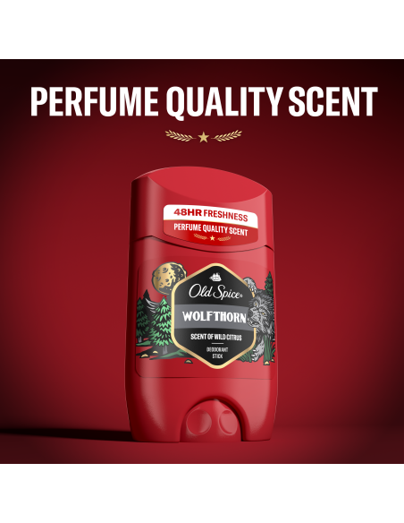 KAST 3 tk! Old Spice Whitewater meeste pulkdeodorant 2x50 ml