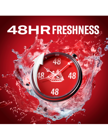 Old Spice Captain Meeste Pulkdeodorant, 2x50 ml