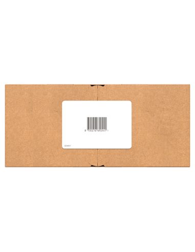 Gillette Fusion5 Raseerija Meestele + 12 Tera