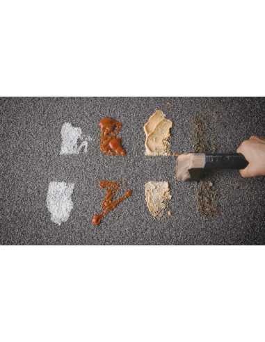 2482 Ariete Spot Cleaner Heat Pro 750W vaipade...