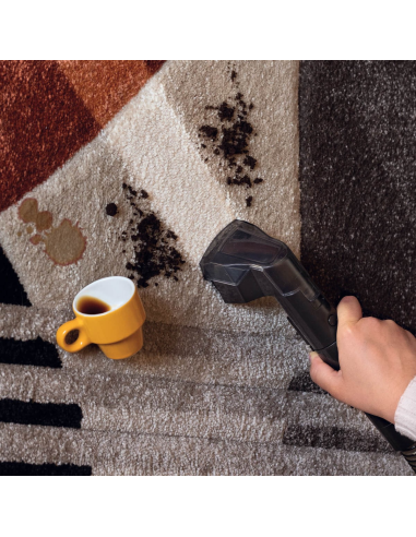 2482 Ariete Spot Cleaner Heat Pro 750W vaipade...